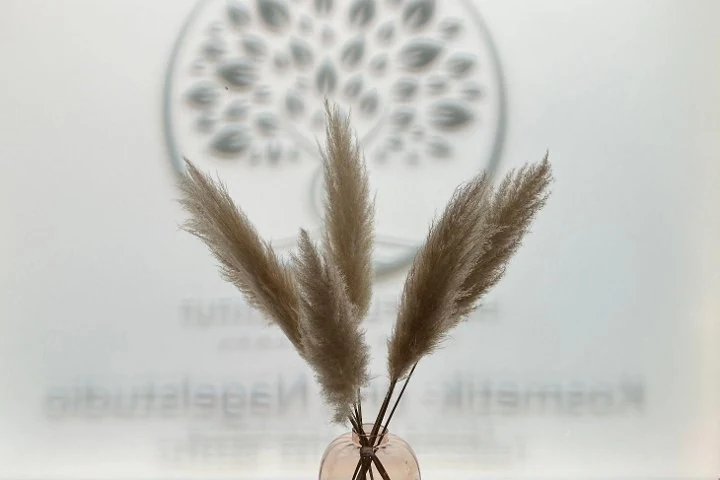 Hautpflegeinstitut Tanja Balhamra – Kessenich, Bonn